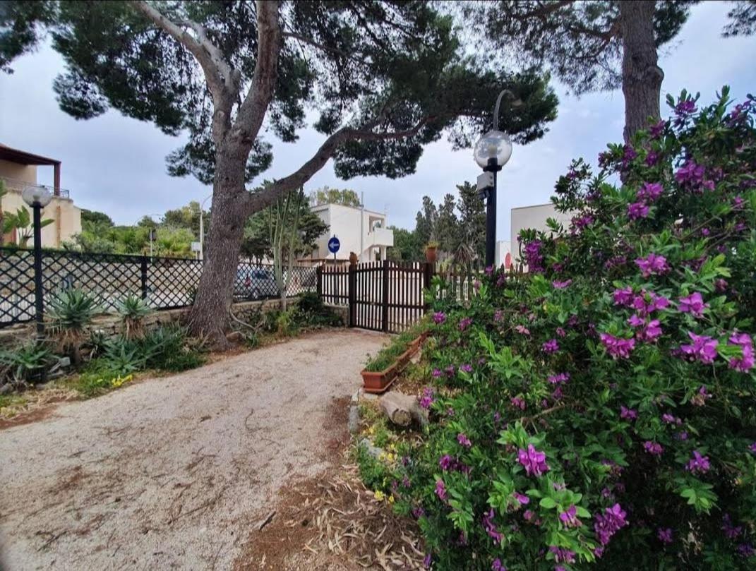 Villa Genna San Vito Lo Capo Eksteriør bilde